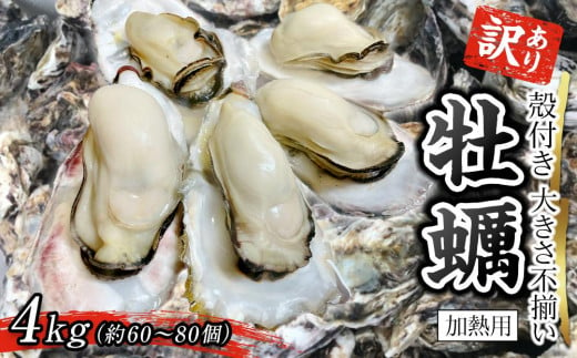 訳あり 大きさ不揃い殻付き牡蠣 4kg (加熱用)【牡蠣 かき 一口サイズ 食べやすい 国産 香川県 さぬき市】 656021 - 香川県さぬき市