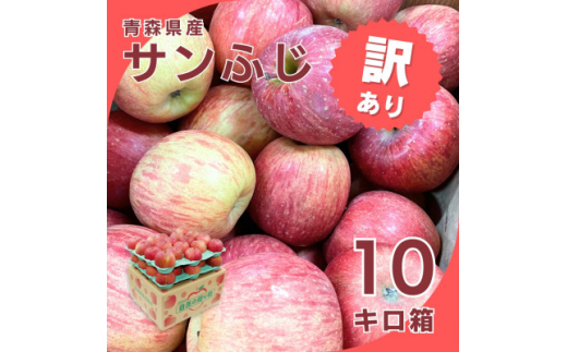 ＜令和7年1月下旬頃発送＞産地直送 青森県産 訳ありサンふじ10キロ箱 26～46玉 青森県産りんご【1288124】 410658 - 青森県青森市