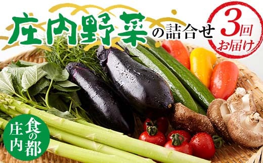 【2025年度発送先行予約】 庄内野菜の詰合せ 定期便（3回お届け） FSY-2145