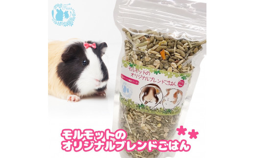 fuu うまうまセレクション モルモットのオリジナルブレンドごはん（3kg）　［ やさいプラス 小動物用 バランス 栄養食 ペットフード 餌 えさ エサ ］