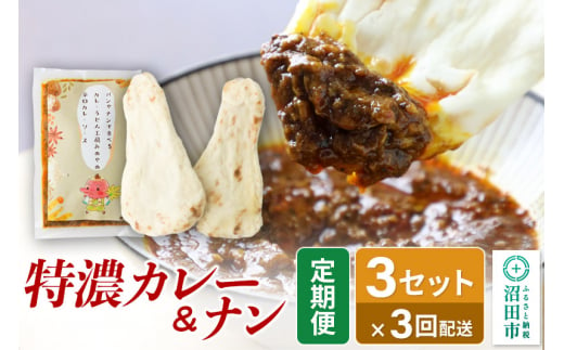 《定期便3回》みのや 特濃カレー＆ナン 3セット 1438237 - 群馬県沼田市