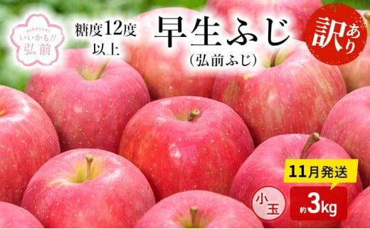 りんご 【 11月発送 】( 糖度12度以上 ) 訳あり 早生ふじ ( 弘前ふじ ) 小玉りんご 約 3kg 【 弘前市産 青森りんご 】 1471676 - 青森県弘前市