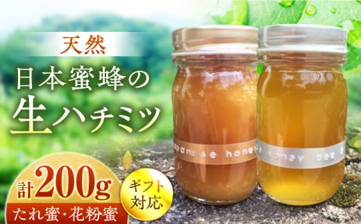 超希少【天然】日本蜜蜂の生はちみつ たれ蜜・花粉蜜 計200g ハニーディッパー付き　【食べチョクアワード2023 3位入賞】　 日田市/総合環境計画研究所 the honey shop [ARBN001]