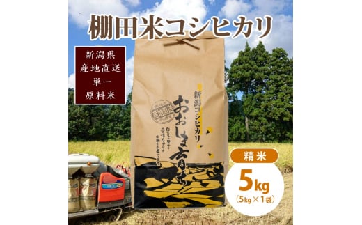 極少量米:数量限定令和6年産/新潟県上越市大島区産棚田米コシヒカリ 5kg(5kg×1)精米