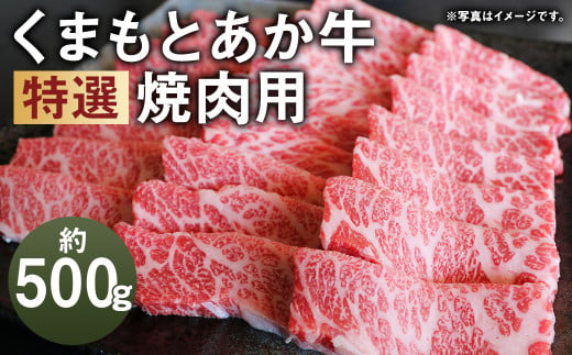 G21Q 厳選されたGI認証 くまもと あか牛 特選 焼肉用 約500g 牛肉 肉 お肉 焼き肉 焼肉 国産牛 1505246 - 熊本県菊池市