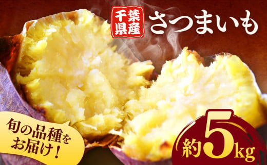 千葉県産 さつまいも 5kg |  人気の直売所 新鮮 人気の直売所 直送 JA きみつ 味楽囲（みらい）さだもと店 君津市 きみつ 千葉県 1521205 - 千葉県君津市