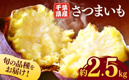 千葉県産 さつまいも 2.5kg |  人気の直売所 新鮮 人気の直売所 直送 JA きみつ 味楽囲（みらい）さだもと店 君津市 きみつ 千葉県 1521207 - 千葉県君津市