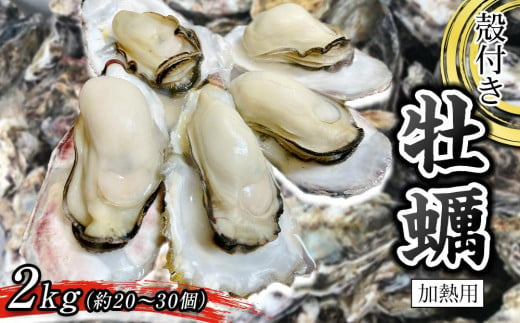 殻付き牡蠣 2kg（加熱用）【牡蠣 かき 一口サイズ 食べやすい 国産 香川県 さぬき市】