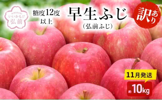 りんご 【 11月発送 】( 糖度12度以上 ) 訳あり 早生ふじ ( 弘前ふじ )約 10kg 【 弘前市産 青森りんご  果物類 美味しい 採れたて 選りすぐり 高糖度 ご家庭用 甘さ 驚き 果汁 土壌 肥料 黄色系  】 894024 - 青森県弘前市