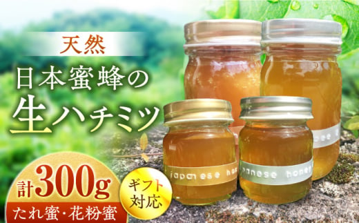 超希少【天然】日本蜜蜂の生はちみつ　たれ蜜・花粉蜜 計300g ハニーディッパー付き　【食べチョクアワード2023 3位入賞】　 日田市/総合環境計画研究所 the honey shop [ARBN002]