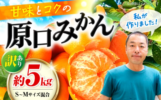 【ご家庭用】【訳あり】 原口みかん 約 5kg（S～Mサイズ混合） ＜最強の兼業農家山田さん＞ [CCX009] 長崎 西海 みかん ミカン 蜜柑 柑橘 みかん 温州みかん 訳あり 1506057 - 長崎県西海市