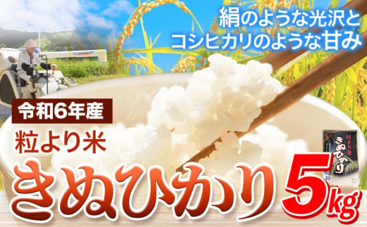 令和6年産 粒より米 きぬひかり 5kg JA紀州 さわやか日高《90日以内に出荷予定(土日祝除く)》 和歌山県 日高町 米 こめ コメ きぬひかり キヌヒカリ 送料無料 精米