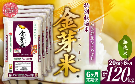 【 定期便 6回 】米 無洗米 金芽米 令和6年 宮城県 加美産 ひとめぼれ 特別栽培米 計 120kg ( 20kg × 6回 )   [ 宮城県 加美町 ]  お米 こめ コメ 精米 白米 玄米 きんめまい おすすめ 新米 ナカリ タカラ米穀 パワーライス カメイ 新生活応援 美味しい こだわり 1506187 - 宮城県加美町