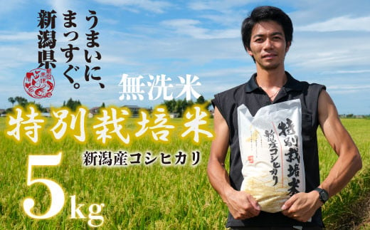 [令和6年産]無洗米 コシヒカリ 5kg 新潟産 特別栽培米 コシヒカリ 斗伸 新潟県 コメ お米 米 こめ しんまい 新潟米 新潟 新発田