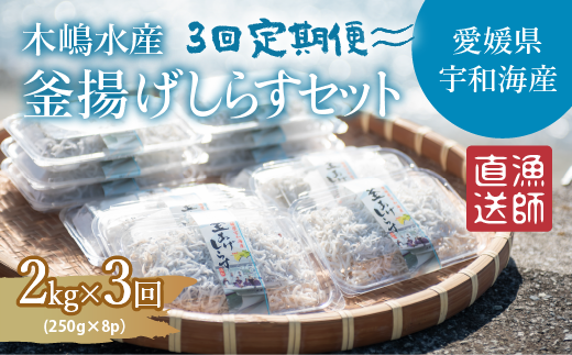 【佐田岬・漁師直送】【3ヵ月連続定期便】 木嶋水産の釜揚げしらす 6kg（1回250g×8P×3回) ｜ 魚介類 海産物 魚 釜揚げ しらす シラス 小分け やみつき ご飯のお供 おつまみ 酒の肴 おやつ しらす丼 サラダ 海産物 冷凍 国産 愛媛県産 ※離島への配送不可 1497715 - 愛媛県伊方町