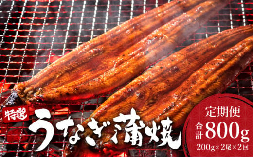 ＜定期便2回＞ うなぎ蒲焼き 計800g (200g×2尾×2回) ／うなぎ 鰻 ウナギ 蒲焼 蒲焼き 土用 丑の日 特選 肉厚 たれ 国産 ふるさと 鰻丼 鰻重 うな重 うなぎたれ ギフト 贈り物 佐賀 佐賀県 送料無料 1289230 - 佐賀県大町町