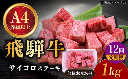 【12回定期便】 飛騨牛 サイコロステーキ 部位おまかせ 1kg A4等級以上  多治見市 / 渡辺精肉店 和牛 ブランド牛 牛肉 [TAZ045]