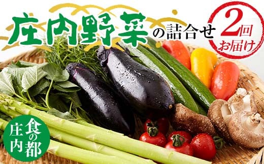 【2025年度発送先行予約】 庄内野菜の詰合せ 定期便（2回お届け） FSY-2144