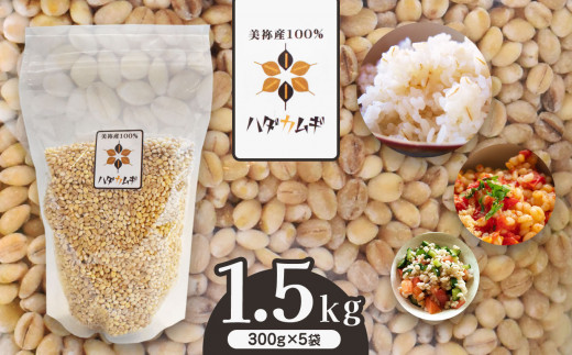 はだか麦 5袋セット ｜ 麦 はだか麦 セット ヘルシーフード 味噌 麦茶 特産品 美祢市 美祢 山口県 山口 1507720 - 山口県美祢市