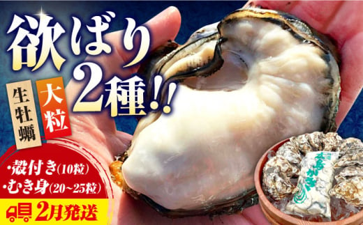 [2月中旬以降順次発送]牡蠣 生食 むき身 殻付き かき カキ 大粒でぷりっぷり![生牡蠣]かきうちの 牡蠣 むき身 500g&殻付き 10個 かき 海鮮 和食 新鮮 簡単 レシピ 広島県産 江田島市/株式会社かきうち [XBK010] 牡蠣 生食 むき身 殻付き 殻付 殻 かき カキ 生牡蠣 広島牡蠣 オイスター カキフライ 魚介類 魚介 貝類 海鮮 広島県産 国産 産地直送 贈答 ギフト 期間限定 季節限定 特産品 牡蠣 かき