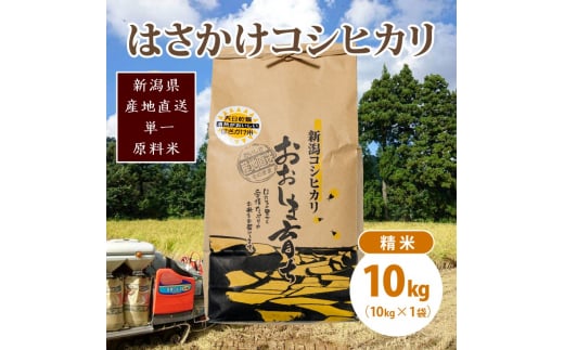 極少量米:数量限定令和6年産/新潟県上越市大島区産 棚田米コシヒカリ 10kg(10kg×1)精米