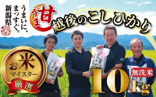 【令和6年産】 新米 無洗米 コシヒカリ 10kg 5kg 2袋 甘うま越後のこしひかり 越後 えちご 特別栽培米 新潟 コメ こめ お米 米 しんまい 新潟県 新潟米 新発田市 新発田産