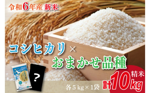 ★新米★【数量限定】R6年産 コシヒカリ 5kg＋おまかせ 5kg　茨城県産米　おいしさ食べ比べセット(HA-3) 1497954 - 茨城県行方市