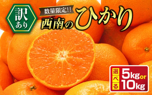 ≪内容量が選べる≫ 先行予約 訳あり 西南のひかり 5kg 10kg ご家庭用  みかん オレンジ フルーツ 果物 くだもの 柑橘 果実 果肉 デザート おやつ 国産 食品 おすそ分け おすそわけ 自宅用 人気 おすすめ 宮崎県 日南市 送料無料_S-BA82-24