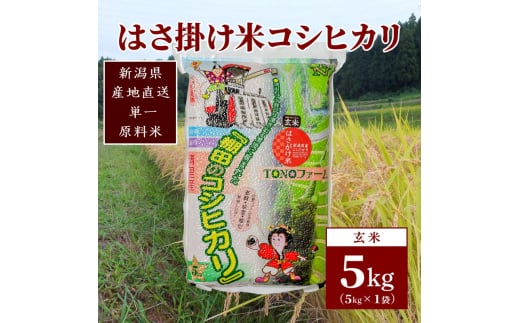 【数量限定】令和5年産 新潟上越清里産 はさ掛け米コシヒカリ(5kgx1袋)玄米 こしひかり コシヒカリ  米|JCCソフト株式会社【上越特産市場（０２６）TONOファーム】