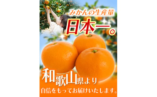 【2024年11月発送予約分】【農家直送】こだわりの有田みかん 約8kg＋250g(傷み補償分) 有機質肥料100% サイズ混合　 【11月発送】/ミカン 蜜柑 柑橘 フルーツ くだもの 果物 温州 有田 【nuk100-1E】|株式会社ＹＡＭＡＳＨＩＮ