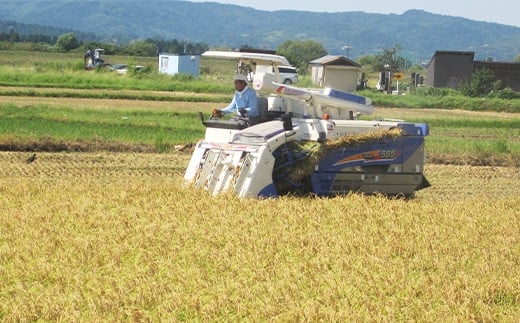 新潟県長岡市のふるさと納税 75-BN101新潟県長岡産特別栽培米コシヒカリ10kg（5kg×2）【2025年2月上旬～下旬発送】