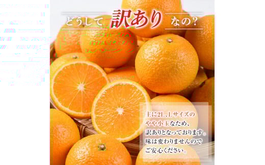 お届け内容