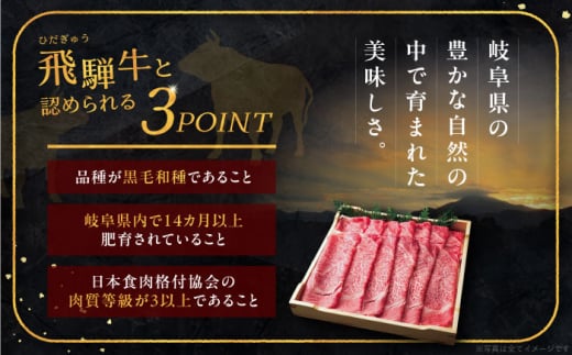 岐阜県恵那市のふるさと納税 【年内発送】飛騨牛100% ハンバーグ7個 A5,A4ランク 特製笠置ゆず使用おろしポン酢付 和牛 国産 惣菜 恵那市 / 岩島屋 [AUAJ023]