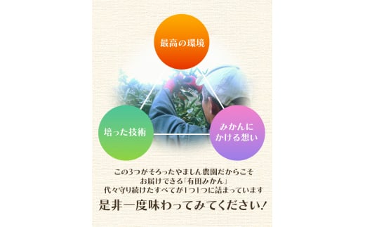 2024年11月発送予約分】【農家直送】こだわりの有田みかん 約8kg＋250g(傷み補償分) 有機質肥料100% サイズ混合 【11月発送】/ミカン  蜜柑 柑橘 フルーツ くだもの 果物 温州 有田 【nuk100-1E】 / 和歌山県紀美野町 | セゾンのふるさと納税