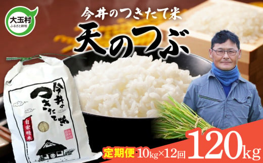 【 令和6年産 新米 】 【 今井のつきたて米 】 天のつぶ 120ｋｇ（毎月１０ｋｇ×12回）【OT08-027-R6】 福島県 大玉村 てんのつぶ テンノツブ 米 定期便 今井農園 276986 - 福島県大玉村