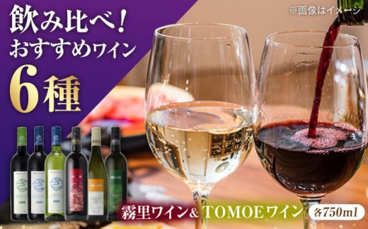 霧里ワイン&TOMOEワイン おすすめ 6本セット ワイン 受賞 飲み比べ ワインセット ギフト 三次市/広島三次ワイナリー[APAZ036]