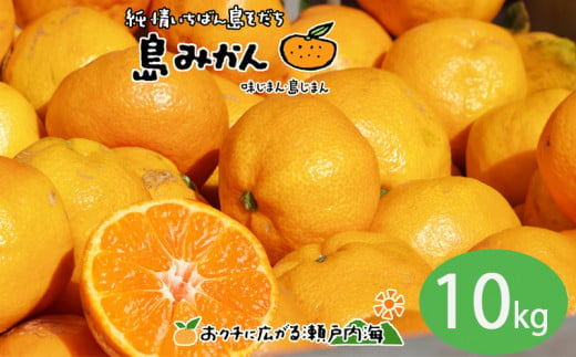 【11月下旬頃～1月中旬頃に発送予定】温州みかん 10kg  愛媛 中島産 希望の島  家庭用 みかん 柑橘  1544934 - 愛媛県松山市