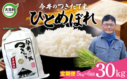 【 令和6年産 新米 】【 今井のつきたて米 】  ひとめぼれ 30kg （ 毎月5kg × 6回 ）【OT08-014-R6】 福島県 大玉村 令和6年 米 今井農園 276969 - 福島県大玉村