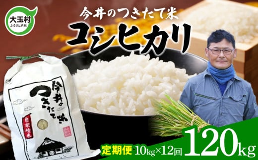 [ 令和6年産 新米 ] 米 定期便 コシヒカリ 120kg(毎月10kg×12回) [ 今井のつきたて米 ]福島県 大玉村 こしひかり 定期便 米 今井農園 | OT08-009-R6