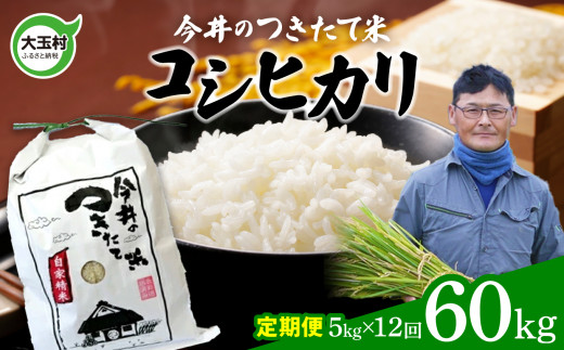 【 令和6年産 新米 】【 今井のつきたて米 】 コシヒカリ　60ｋｇ（毎月5ｋｇ×12回）【OT08-006-R6】 福島県 大玉村 こしひかり 定期便 米 今井農園 276980 - 福島県大玉村