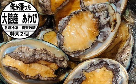 特大特選アワビ【冷凍】 350g相当 × 2個【期間限定】｜11月～12月発送 三陸 岩手県 大槌町 あわび 人気 鮑 刺身 いわて iwate 初栄丸 1511058 - 岩手県大槌町