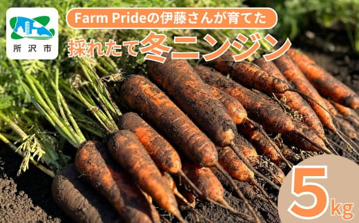 Farm Prideが育てた採れたての絶品！冬ニンジン 彩誉(あやほまれ) 5kg | 埼玉県 所沢市 人参 にんじん ニンジン キャロット あやほまれ 野菜 緑黄色野菜 サラダ マリネ スムージー スティック 料理 煮物 カレー シチュー ジュース カロテン ビタミン 産地直送 おいしい おすすめ  新鮮 フレッシュ 1533922 - 埼玉県所沢市