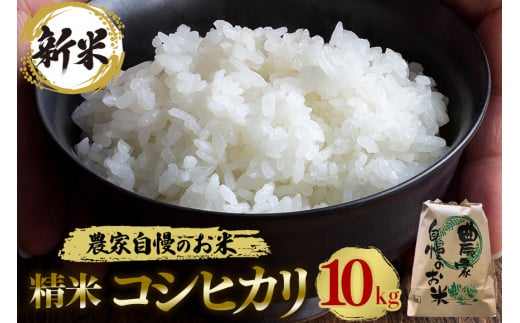 【令和6年産】精米 コシヒカリ 10kg お米 白米 米 おこめ ブランド米 こしひかり 10キロ 国産 単一原料米 コメ こめ ご飯 銘柄米 茨城県産 茨城 産直 産地直送 農家直送 お取り寄せ ふっくら ごはん 家庭用 茨城県 石岡市 (G399) 1442234 - 茨城県石岡市