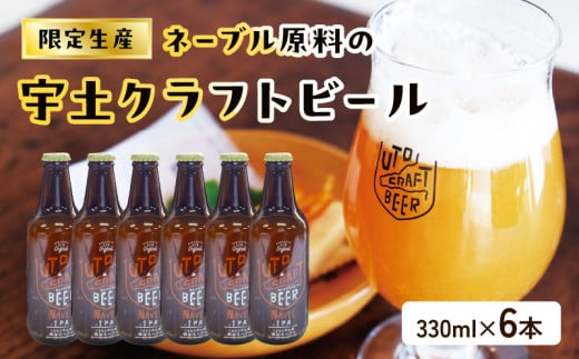 51-37　桑田商店　限定生産　ネーブル原料の宇土クラフトビール６本セット 377425 - 熊本県宇土市