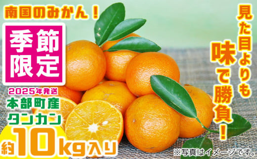 【2025年発送】南国のみかん！本部町産タンカン（約10kg入り） みかん 柑橘 沖縄 おきなわ 果実 フルーツ 青果 期間限定 先行予約 数量限定 旬 人気 おすすめ 贈答 プレゼント ギフト 贈り物 子供 デザート 取り寄せ 1098898 - 沖縄県本部町