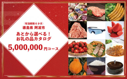 ゆっくりえらべる カタログ 500万円 コース あとから選べる 鮮魚 肉 米 酒 定期便 スイーツ フルーツ 選べる ギフト セレクト 【 徳島県 阿波市 】 1519855 - 徳島県阿波市