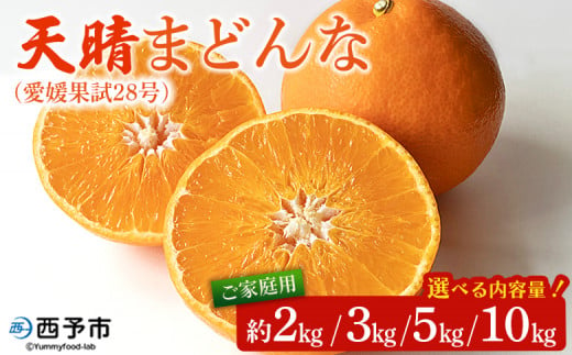 紅まどんなと同品種! 天晴まどんな(愛媛果試28号)ご家庭用 約2kg/3kg/5kg/10kg マドンナ 訳あり 果物 くだもの フルーツ みかん ミカン 柑橘 天晴農園 あっぱれのうえん 特産品 愛媛県 西予市[常温]