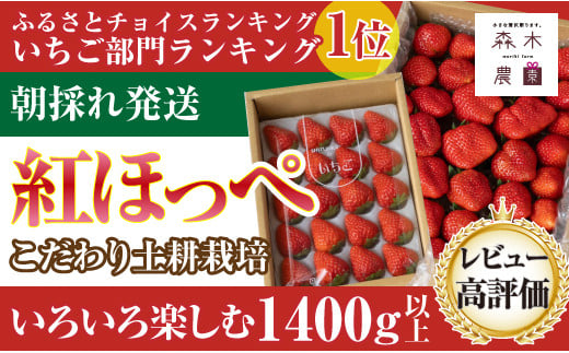 060-25　いちごバラエティーパック1400ｇ以上【紅ほっぺ】【常温発送】 1201976 - 静岡県牧之原市