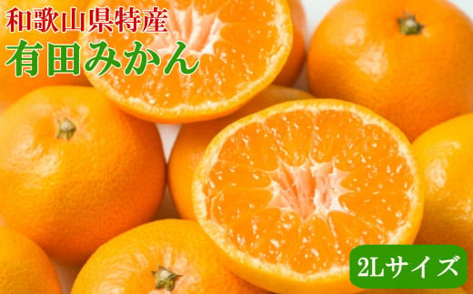 [秀品]和歌山有田みかん約9kg(2Lサイズ)★2024年11月中旬～2025年1月中旬頃より順次発送【tec831】 1524808 - 和歌山県すさみ町