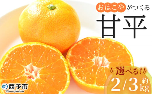 おはこやがつくる 甘平 約2kg/3kg(L〜3Lサイズ) 果物 フルーツ 柑橘類 かんぺい カンペイ オレンジ みかん ミカン サイズ混合 おいしい 甘い 愛媛限定栽培 特産品 産地直送 西宇和 愛媛県 西予市[常温]